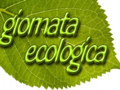 Giornata ecologica: così non va, diamole dei contenuti