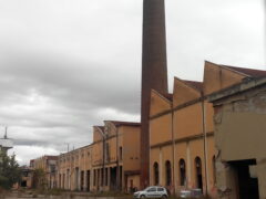 Tiberghien: il confronto torni agli organi elettivi Tiberghien: il confronto torni agli organi elettivi