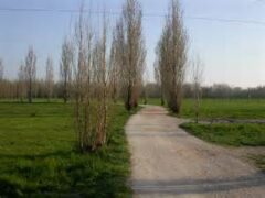 Giarol Grande verso la privatizzazione? Giarol Grande verso la privatizzazione?