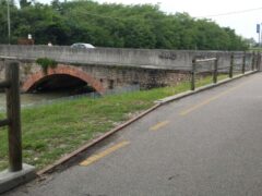 Camuzzoni: staccionata della ciclabile divelta? Il Consigliere compra le assi su E-Bay Camuzzoni: staccionata della ciclabile divelta? Il Consigliere compra le assi su E-Bay