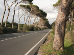 Le strade provinciali passeranno ad Anas  Zardini: «Bene ci sia un soggetto unico per le manutenzioni»