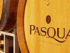 Cantine Pasqua in vendita, torna l’incubo della speculazione Cantine Pasqua in vendita, torna l’incubo della speculazione
