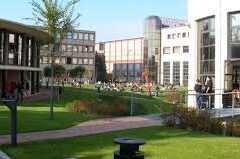 Università e autonomia – Salemi: “L’autonomia deve portare a più risorse, non a un pericoloso isolamento” Università e autonomia – Salemi: “L’autonomia deve portare a più risorse, non a un pericoloso isolamento”