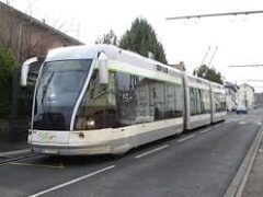 Il (mancato) filobus ci danneggia. Il (mancato) filobus ci danneggia.