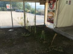 Ex chiosco di via Montelungo: eseguire il dispositivo di sgombero Ex chiosco di via Montelungo: eseguire il dispositivo di sgombero