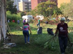Casa colonica: grande mobilitazione civica consente di ultimare la pulizia del giardino Casa colonica: grande mobilitazione civica consente di ultimare la pulizia del giardino