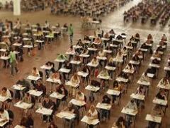 Inps: Rotta (Pd), ministro del Lavoro chiarisca su distribuzione degli assunti nei concorsi Inps: Rotta (Pd), ministro del Lavoro chiarisca su distribuzione degli assunti nei concorsi