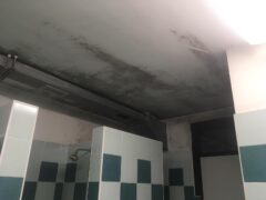 Altro che nuovo Stadio, Sboarina pensi al centro Consolini che versa in condizioni pietose Altro che nuovo Stadio, Sboarina pensi al centro Consolini che versa in condizioni pietose