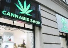 Cannabis: Rotta (Pd), Salvini imbraccia un’altra arma di distrazione di massa Cannabis: Rotta (Pd), Salvini imbraccia un’altra arma di distrazione di massa