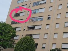 Palazzi Ater: appartamenti abbandonati trasformati in piccionaie Palazzi Ater: appartamenti abbandonati trasformati in piccionaie