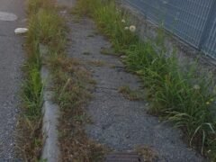Zai 2 al Basson, terra di nessuno: degrado urbano e discariche abusive Zai 2 al Basson, terra di nessuno: degrado urbano e discariche abusive