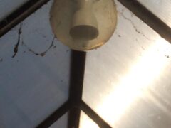 Degrado igienico e sanitario sotto i portici di via Faliero: tocca al Comune intervenire. Si faccia presto! Degrado igienico e sanitario sotto i portici di via Faliero: tocca al Comune intervenire. Si faccia presto!