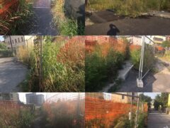 Cantiere infinito in via Cristofori, Verga e Pascoli: continuano a regnare sporcizia e topi Cantiere infinito in via Cristofori, Verga e Pascoli: continuano a regnare sporcizia e topi