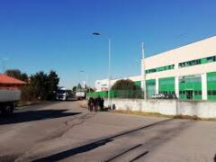 Pd Quinta: “Chiediamo chiarezza sulle finalità della riqualificazione di via Mezzacampagna e sul progetto di nuovo polo logistico. Circoscrizione ignorata” Pd Quinta: “Chiediamo chiarezza sulle finalità della riqualificazione di via Mezzacampagna e sul progetto di nuovo polo logistico. Circoscrizione ignorata”
