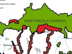 LESSINIA Addio a un quinto dell’area protetta Zardini: «Un errore frutto di visione cortissima» LESSINIA Addio a un quinto dell’area protetta Zardini: «Un errore frutto di visione cortissima»