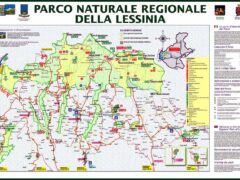 IL FUTURO DEL PARCO «Convocare gli Stati Generali della Lessinia» La proposta di Zardini, un tavolo con tutti i soggetti per il bene degli abitanti IL FUTURO DEL PARCO «Convocare gli Stati Generali della Lessinia» La proposta di Zardini, un tavolo con tutti i soggetti per il bene degli abitanti