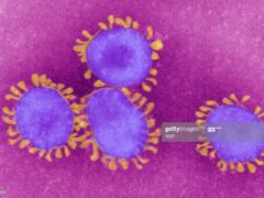 CORONAVIRUS Pd veneto incontra i sindacati «Valutare la possibilità di sospendere attività non essenziali» CORONAVIRUS Pd veneto incontra i sindacati «Valutare la possibilità di sospendere attività non essenziali»