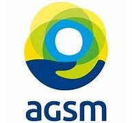 Agsm: il nostro partner “ideale” è quello che fa l’offerta migliore. No a soluzioni preconfezionate Agsm: il nostro partner “ideale” è quello che fa l’offerta migliore. No a soluzioni preconfezionate