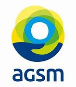 Agsm, maggioranza spaccata. Il Pd non farà la stampella di nessuno Agsm, maggioranza spaccata. Il Pd non farà la stampella di nessuno