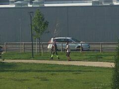 Parco di Via Licata, alberi che muoiono come… mosche, Benini: “Si faccia chiarezza” Parco di Via Licata, alberi che muoiono come… mosche, Benini: “Si faccia chiarezza”