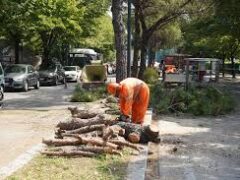 Retromarcia del Sindaco su Via Emo: prendiamo atto ma confermiamo il sit-in di sabato Retromarcia del Sindaco su Via Emo: prendiamo atto ma confermiamo il sit-in di sabato