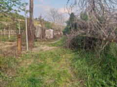 Riaperta la Sabbionara a pedoni e ciclisti Riaperta la Sabbionara a pedoni e ciclisti