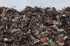 Ambiente. Rotta, Zardini: “Stop alla mega discarica di rottami di auto in Veneto, le alternative sono possibili come riconosce il Governo” Ambiente. Rotta, Zardini: “Stop alla mega discarica di rottami di auto in Veneto, le alternative sono possibili come riconosce il Governo”