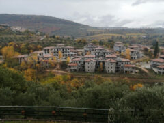 BORGO DEGLI ULIVI: UN PROGETTO DA RIMETTERE IN DISCUSSIONE BORGO DEGLI ULIVI: UN PROGETTO DA RIMETTERE IN DISCUSSIONE