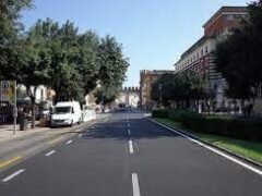 Nuova illuminazione in Corso Porta Nuova: si predisponga un piano per la tutela degli alberi Nuova illuminazione in Corso Porta Nuova: si predisponga un piano per la tutela degli alberi