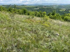 IL COMUNE SI ATTIVI CON LA REGIONE PER L’AMPLIAMENTO AREA SITO DI INTERESSE COMUNITARIO VAL GALINA E PROGNO BORAGO. IL COMUNE SI ATTIVI CON LA REGIONE PER L’AMPLIAMENTO AREA SITO DI INTERESSE COMUNITARIO VAL GALINA E PROGNO BORAGO.