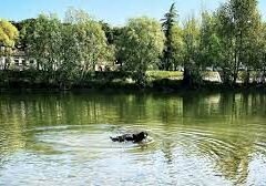 UN’OASI VERDE A LA SORTE, TRA PISTA CICLOPEDONALE, CAMMINAMENTI E FONTANELLE. NOI CI CREDIAMO! UN’OASI VERDE A LA SORTE, TRA PISTA CICLOPEDONALE, CAMMINAMENTI E FONTANELLE. NOI CI CREDIAMO!