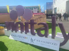 DAL MORO (PD): VINITALY IL TEMPO DELLE SCELTE DAL MORO (PD): VINITALY IL TEMPO DELLE SCELTE