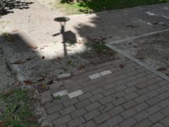Ripristinati i camminamenti del parco del Sorriso di Piazza Zara a Borgo Roma Bresaola (Pd): “Rapidità ed efficacia, valorizzata una preziosa area verde” Ripristinati i camminamenti del parco del Sorriso di Piazza Zara a Borgo Roma Bresaola (Pd): “Rapidità ed efficacia, valorizzata una preziosa area verde”