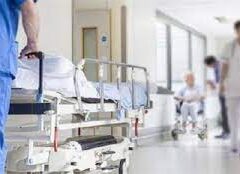 PD VERONA: “REPORT SCOPRE IL VELO SULLA SANITÀ VENETA, SERVONO RISPOSTE VERE” PD VERONA: “REPORT SCOPRE IL VELO SULLA SANITÀ VENETA, SERVONO RISPOSTE VERE”