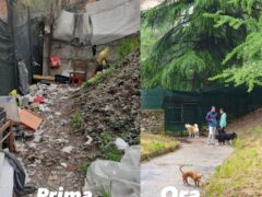 IN VIA PALLADIO, A POCHI METRI DALLA STAZIONE, NASCE UNA NUOVA AREA CANI AL POSTO DI UNA DISCARICA A CIELO APERTO UTILIZZATA PER SPACCIO E PROSTITUZIONE IN VIA PALLADIO, A POCHI METRI DALLA STAZIONE, NASCE UNA NUOVA AREA CANI AL POSTO DI UNA DISCARICA A CIELO APERTO UTILIZZATA PER SPACCIO E PROSTITUZIONE