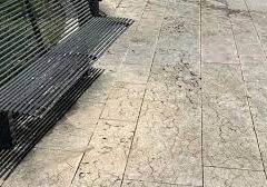 SANGUE IN PIAZZA DELLA CHIESA ALLE GOLOSINE: LEGA E VERONA DOMANI MONTANO IL CASO PD: “SI PREOCCUPANO SOLO DI FARE PROPAGANDA, MA NON AIUTANO AD AFFRONTARE I PROBLEMI” SANGUE IN PIAZZA DELLA CHIESA ALLE GOLOSINE: LEGA E VERONA DOMANI MONTANO IL CASO PD: “SI PREOCCUPANO SOLO DI FARE PROPAGANDA, MA NON AIUTANO AD AFFRONTARE I PROBLEMI”