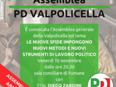 Assemblea PD Valpolicella