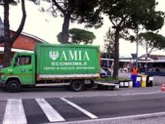 Ma quale salva-Amia? Così la uccidono 