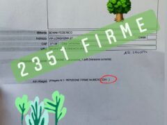 Salviamo i Pini via Emo: protocollate 2.351 firme